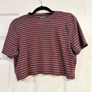 Wild Fable - Large - Maroon Stripe